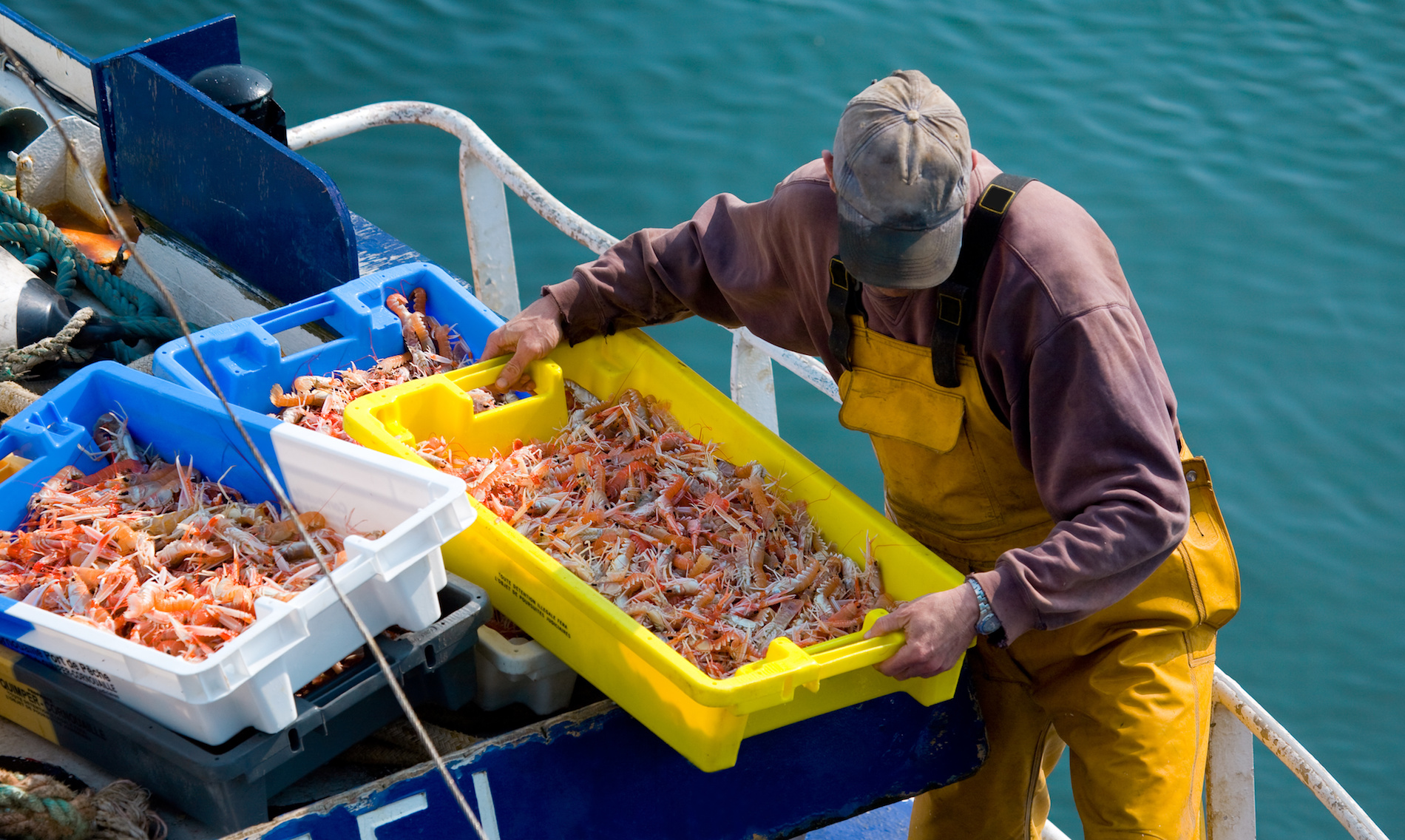 Fiche metier matelot a la peche